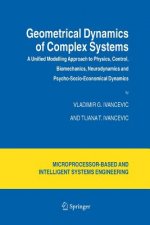 Geometrical Dynamics of Complex Systems