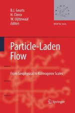 Particle-Laden Flow