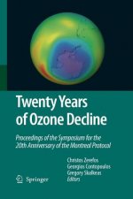 Twenty Years of Ozone Decline