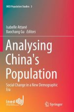 Analysing China's Population