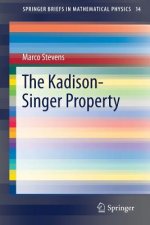 Kadison-Singer Property