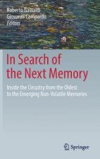 In Search of the Next Memory