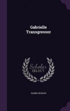 GABRIELLE TRANSGRESSOR