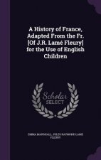 A HISTORY OF FRANCE, ADAPTED FROM THE FR