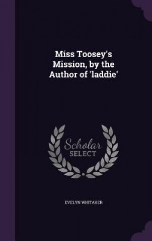 MISS TOOSEY'S MISSION, BY THE AUTHOR OF