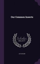 OUR COMMON INSECTS