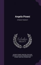 ANGELA PISANI: A NOVEL, VOLUME 3