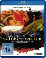 Der Löwe im Winter