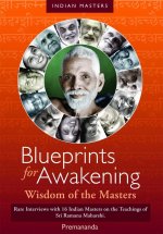 Blueprints for Awakening -- Wisdom of the Masters DVD