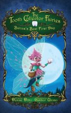Tooth Collector Fairies