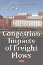 Congestion Impacts of Freight Flows