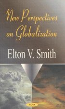 New Perspectives on Globalization