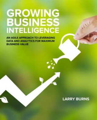 Growing Business Intelligence