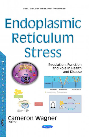 Endoplasmic Reticulum Stress