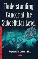 Understanding Cancer at the Subcellular Level
