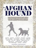 Afghan Hound