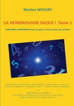 numerologie facile ! Tome 1