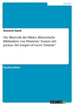 Rhetorik des Bildes. Rhetorische Bildanalyse von Piranesis Avanzo del pronao del tempio di Giove Tonante