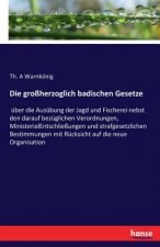 grossherzoglich badischen Gesetze