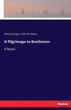 Pilgrimage to Beethoven