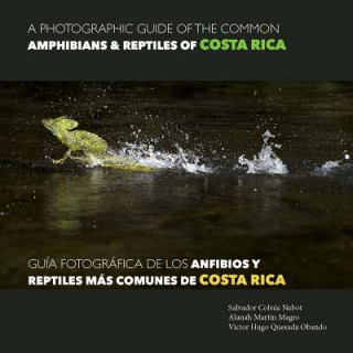 A photographic guide of the common ammphibians & reptiles of Costa Roca / Guía fotográfica de los anfibios y reptiles más comunes de Costa Rica