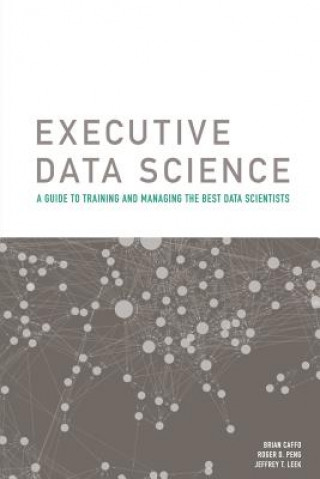Executive Data Science
