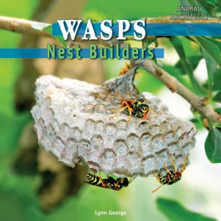 Wasps: Nest Builders