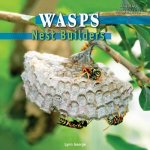 Wasps: Nest Builders