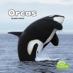 Orcas (Black and White Animals)