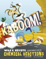 Kaboom!: Wile E. Coyote Experiments with Chemical Reactions