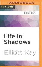 LIFE IN SHADOWS              M
