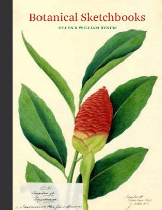 Botanical Sketchbooks: (Over 500 Years of Beautiful Botanical Sketches by 80 Artists from Around the World, from Leonardo Da Vinci to John Mu