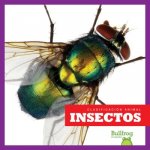 Insectos (Insects)
