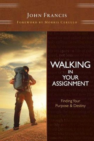 WALKING IN YOUR ASSIGNMENT