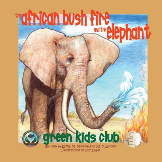 African Bush Fire and the Elephant