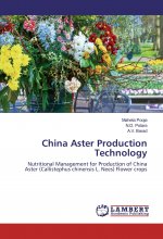 China Aster Production Technology