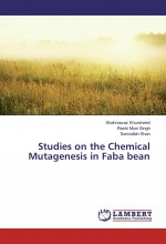 Studies on the Chemical Mutagenesis in Faba bean