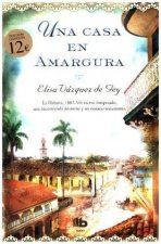 Una casa en amargura : La Habana, 1882 : un suceso inesperado, una encomienda póstuma y un extra?o testamento