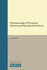 Phenomenology of Perception: Theories and Experimental Evidence