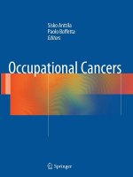 Occupational Cancers