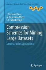 Compression Schemes for Mining Large Datasets