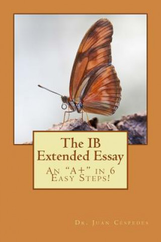 Ib Extended Essay