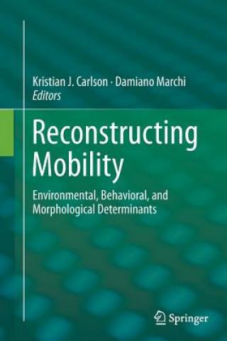 Reconstructing Mobility