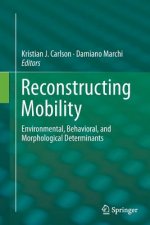 Reconstructing Mobility