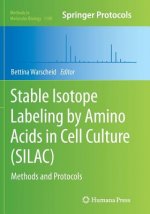 Stable Isotope Labeling by Amino Acids in Cell Culture (SILAC)