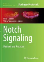 Notch Signaling