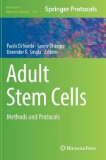 Adult Stem Cells
