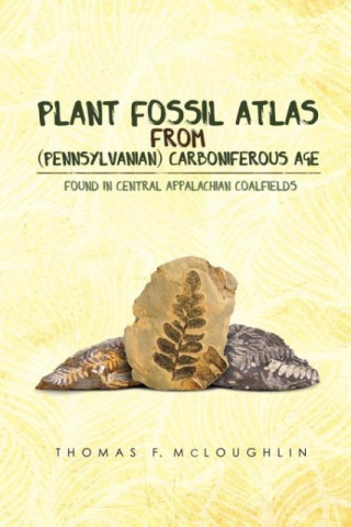 Plant Fossil Atlas from (Pennsylvanian) Carboniferous Age