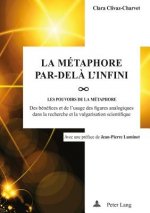 Metaphore par-dela l'infini; Les pou-VOIRS de la metaphore