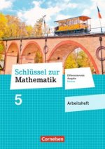 Schlüssel zur Mathematik - Differenzierende Ausgabe Hessen - 5. Schuljahr
